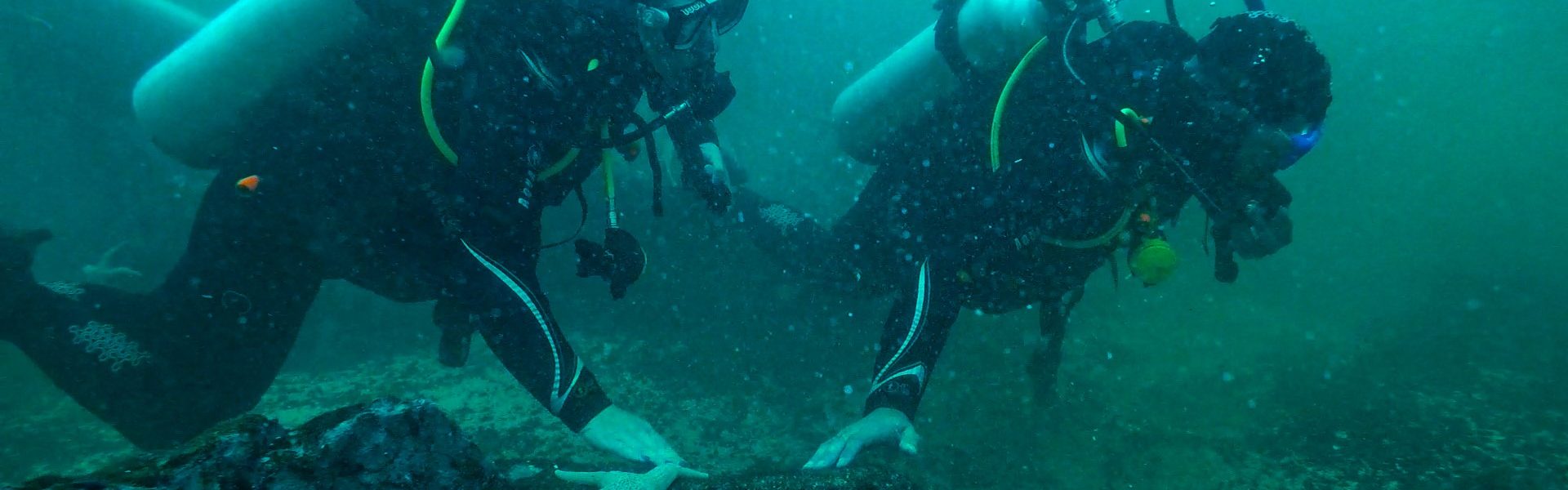 Buceo