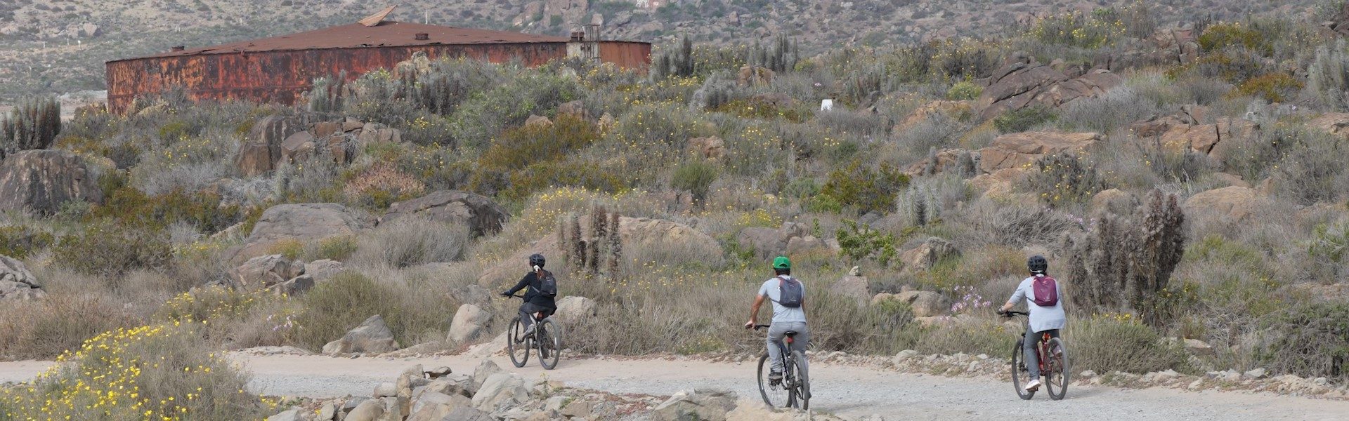 Paseos en bicicleta